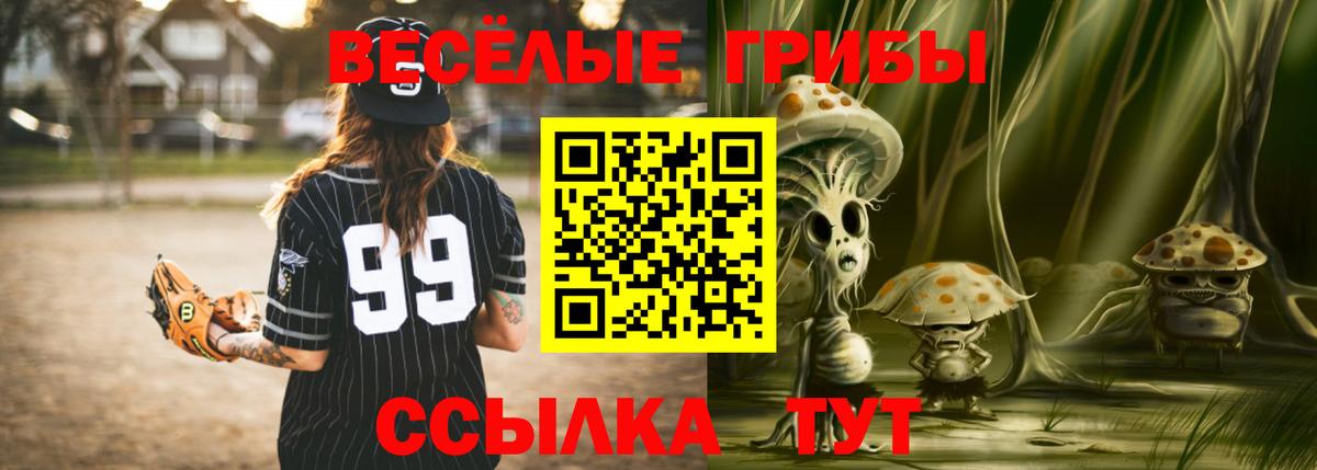 Котовск  Псилоцибиновые грибы Magic Shrooms  где продают   Вход с VPN 
